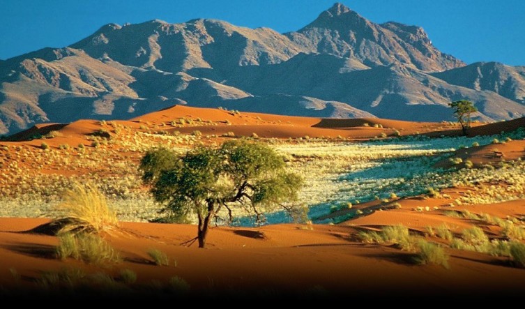 природа Намибии (1)