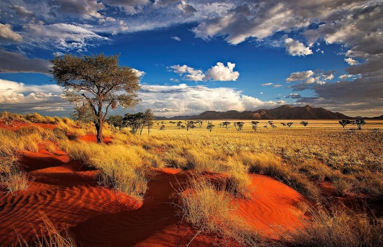 природа Намибии (2)