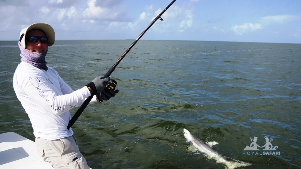 Рыбалка в мексиканского залива