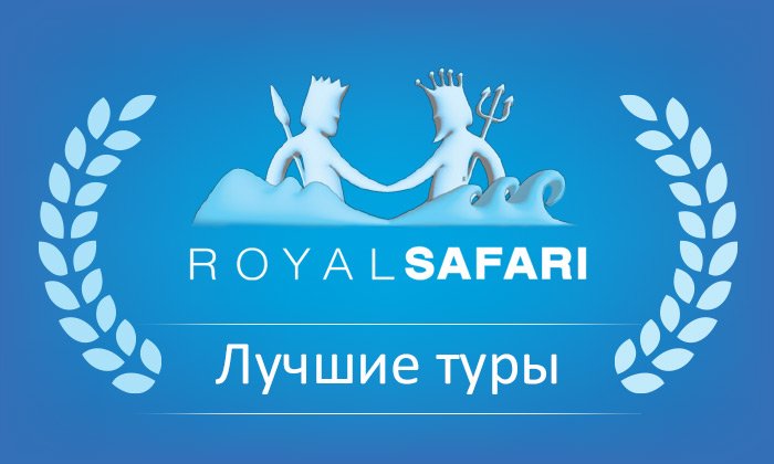 royal safari tours